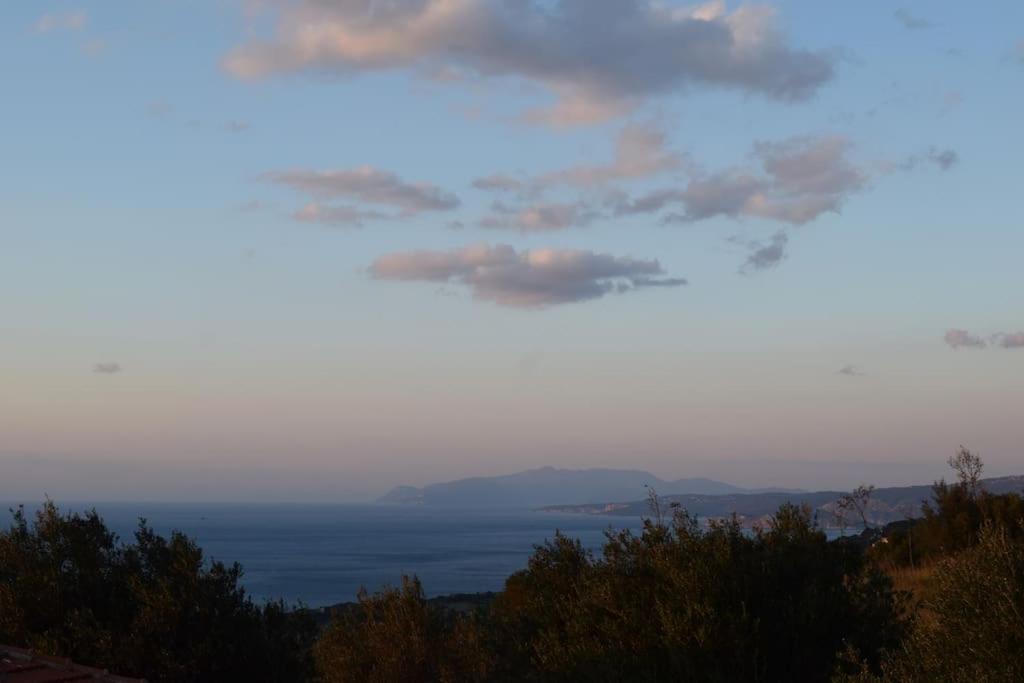 Appartamento O Palaios Fournos Tou Andrea Argostoli  Esterno foto