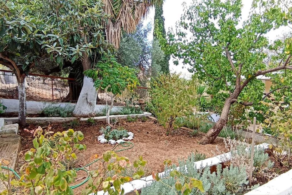Appartamento O Palaios Fournos Tou Andrea Argostoli  Esterno foto
